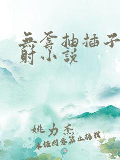 无套抽插子宫内射小说