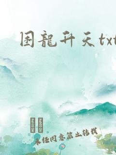 困龙升天txt