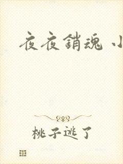 夜夜销魂 小说