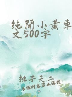 纯开小黄车小短文500字