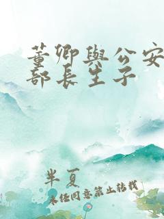 董卿与公安部副部长生子