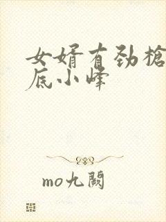 女婿有劲枪枪到底小峰