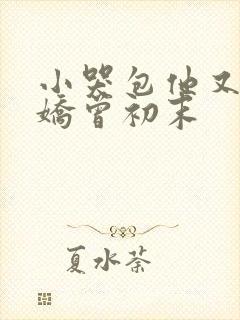 小哭包他又软又娇曾初末