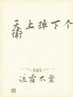 天上掉下个影卫卫