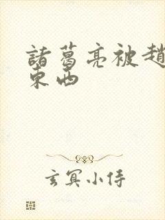 诸葛亮被赵云塞东西