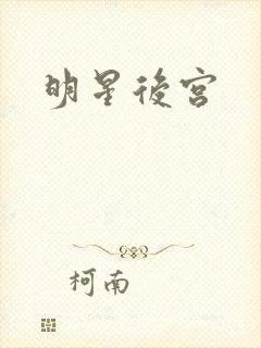 明星后宫