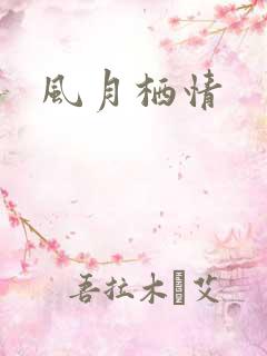 风月栖情