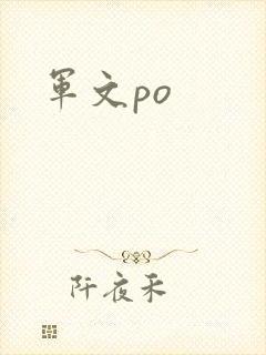 军文po