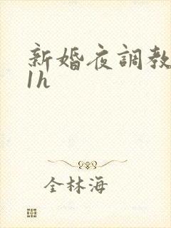 新婚夜调教1v1h