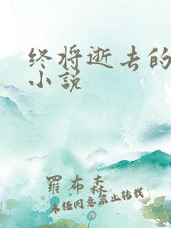 终将逝去的青春小说