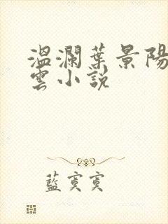 温澜叶景阳温云云小说