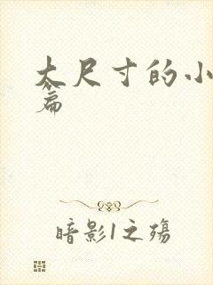 大尺寸的小说短篇