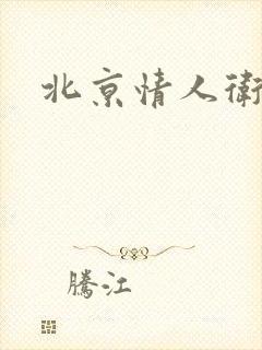 北京情人卫慧