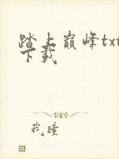 踏上巅峰txt下载