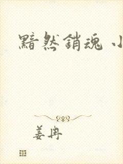黯然销魂 小说
