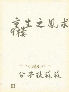 重生之凤求凰19楼