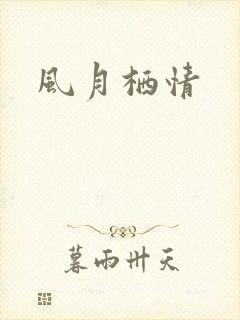 风月栖情