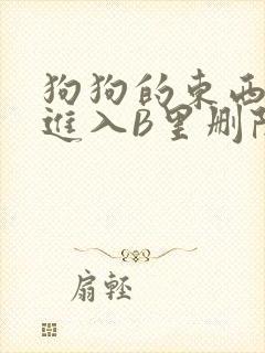 狗狗的东西直接进入B里删除