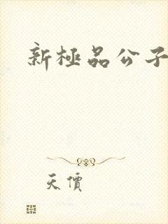 新极品公子