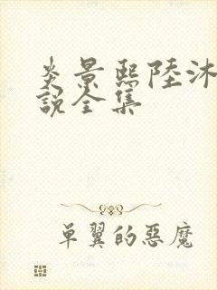 炎景熙陆沐擎小说全集