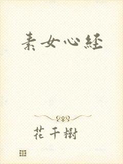 素女心经