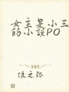 女主是小三很婊的小说PO