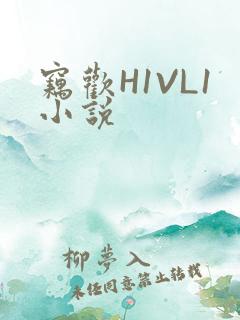 窃欢H1VL1小说