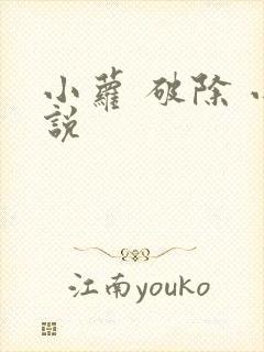 小萝 破除 小说