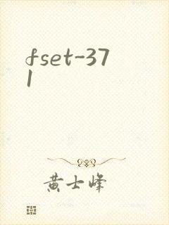 fset-371