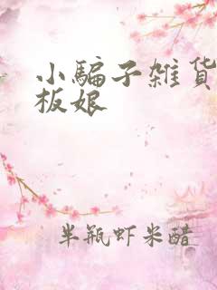 小骗子杂货铺老板娘