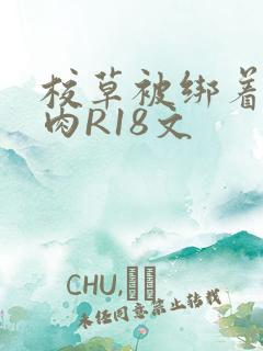校草被绑着玩纯肉R18文