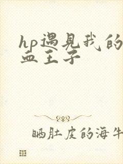 hp遇见我的混血王子