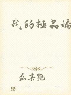 我的极品娇妻