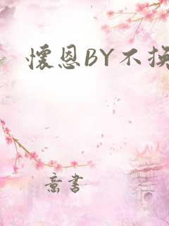 怀恩BY不换