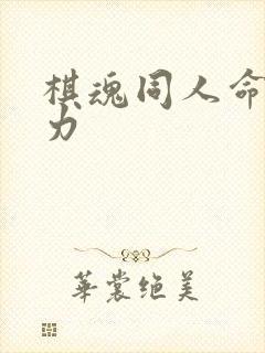 棋魂同人命运之力