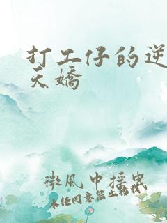 打工仔的逆袭楚天娇