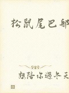 松鼠尾巴那么软