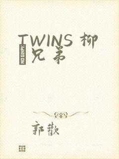 TWINS 柳澤兄弟