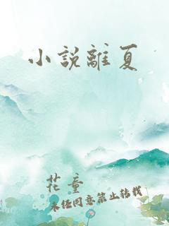 小说离夏