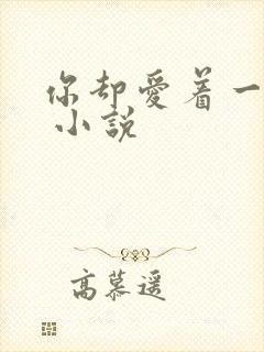 你却爱着一个他 小说