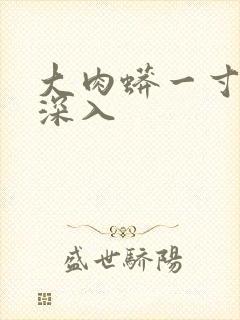 大肉蟒一寸寸地深入