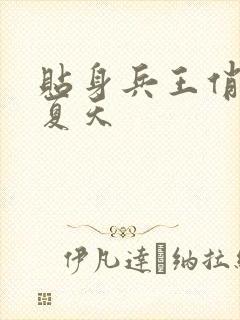 贴身兵王俏总裁夏天