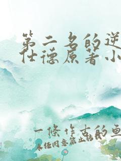 第二名的逆袭高仕德原著小说