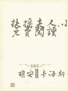 扶摇夫人.小说免费阅读