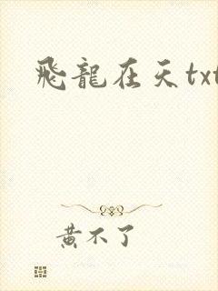 飞龙在天txt