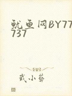 鱿鱼网BY77737