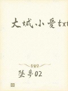 大城小爱txt