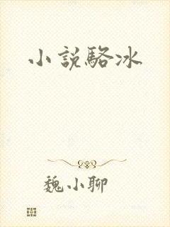 小说骆冰