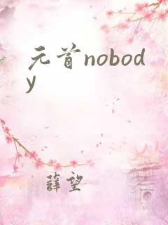 元首nobody