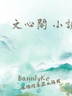 文心阁 小说